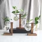 Гидропонная стеклянная ваза для террариума, вазы для растений, винтажный цветочный горшок, настольное украшение, ваза с деревянным подносом, домашний декор