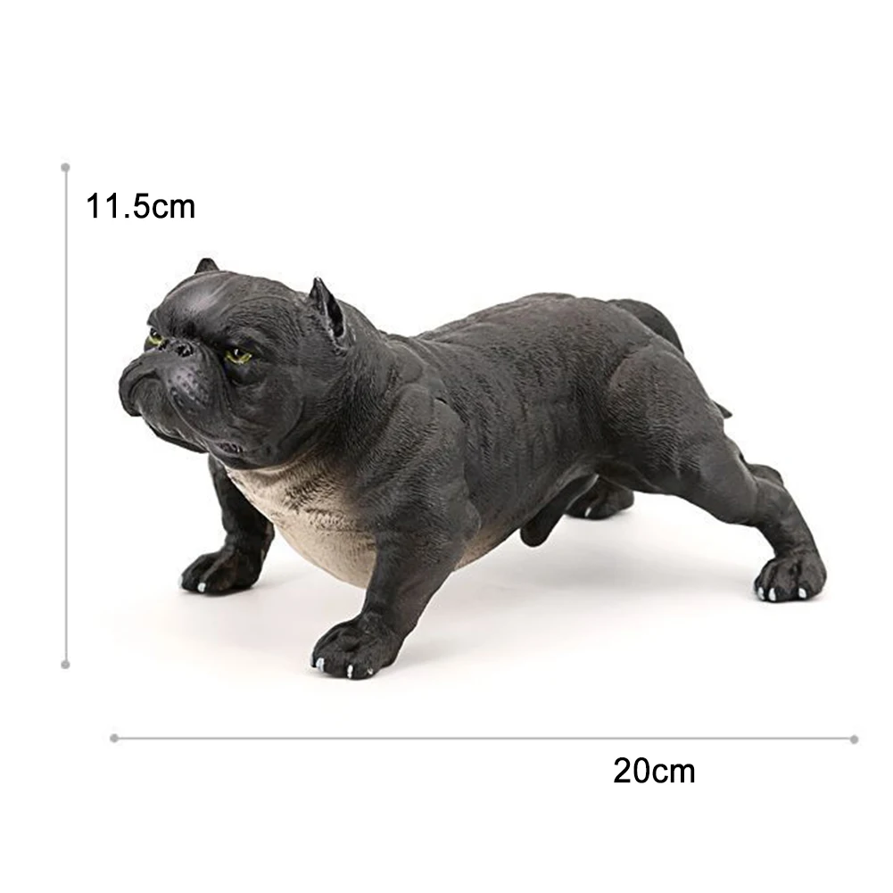 

Realistic Bully Dog PVC Animal Solid Model Figurine Kids Toy Table Decoration