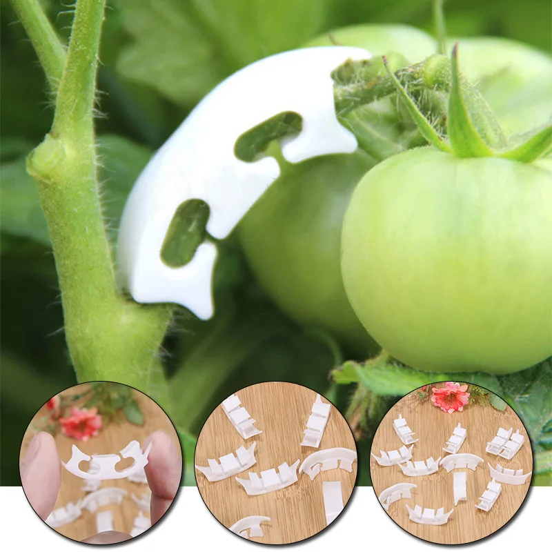 

50pcs Plastic Plant Fixing Clips Anti-bending Tomatoes Branch Fruit Vine Connects Supporting Vegetables Stems Grow Upright Clips