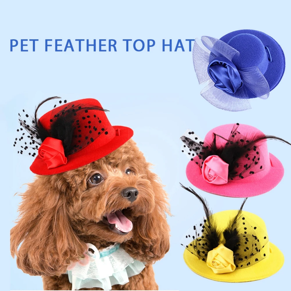 

Женская шляпа с красными перьями, в европейском стиле