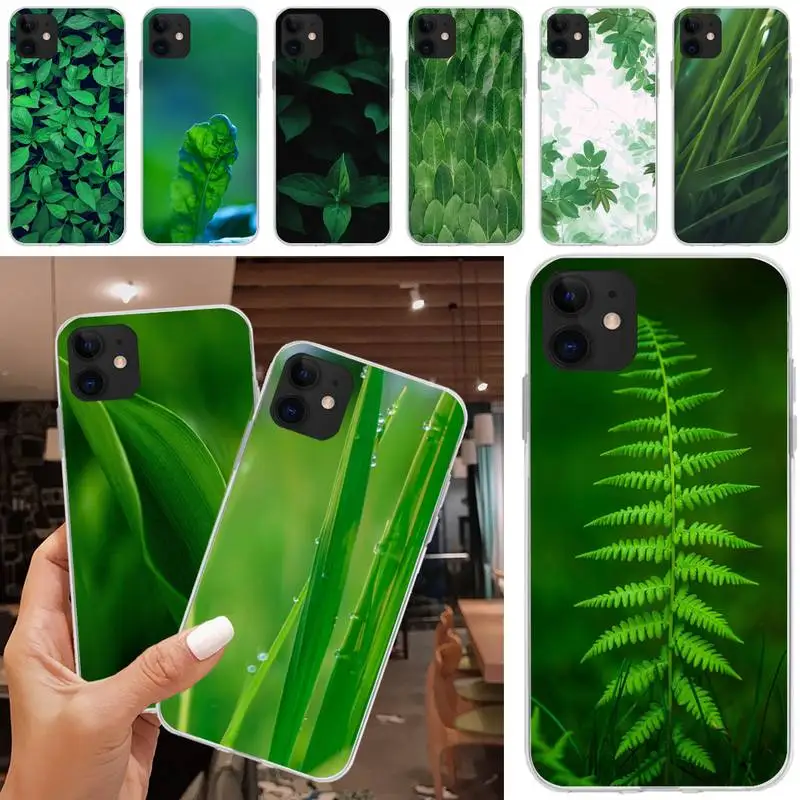 

Green Small Fresh Eye Care Phone Case Transparent For Iphone XR 11 12 13 Pro X XS Max 6 7 8 6s Plus SE2020 Silicone Soft