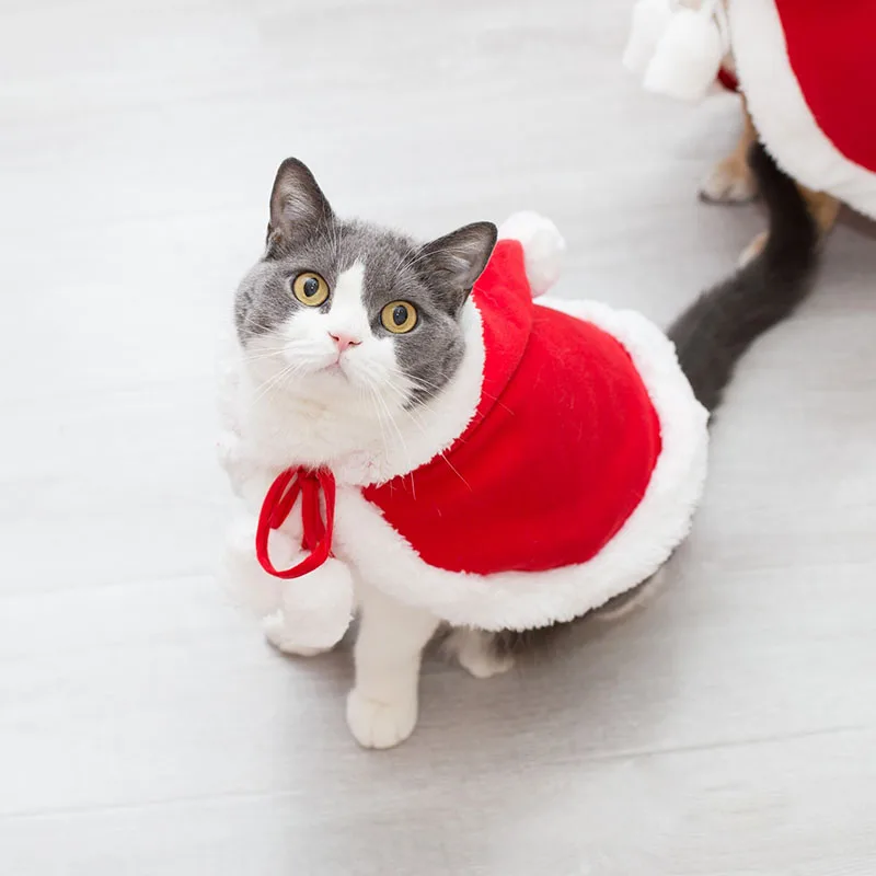 

1Pcs Winter Cat Christmas Clothes Little Red Riding Hood Cloak Cloak Coat Cosplay Costume Pet Kitten