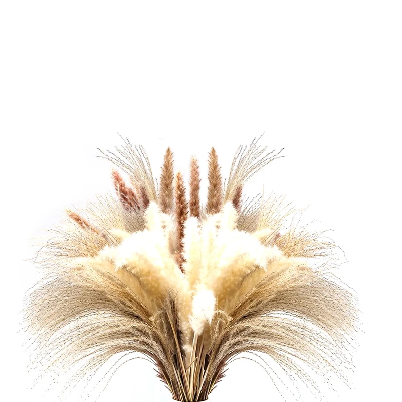 

60Pcs 17.72 inch Dried White Pampas Grass&Brown Dried Flower& Natural Dried Reed, Natural Home Decor