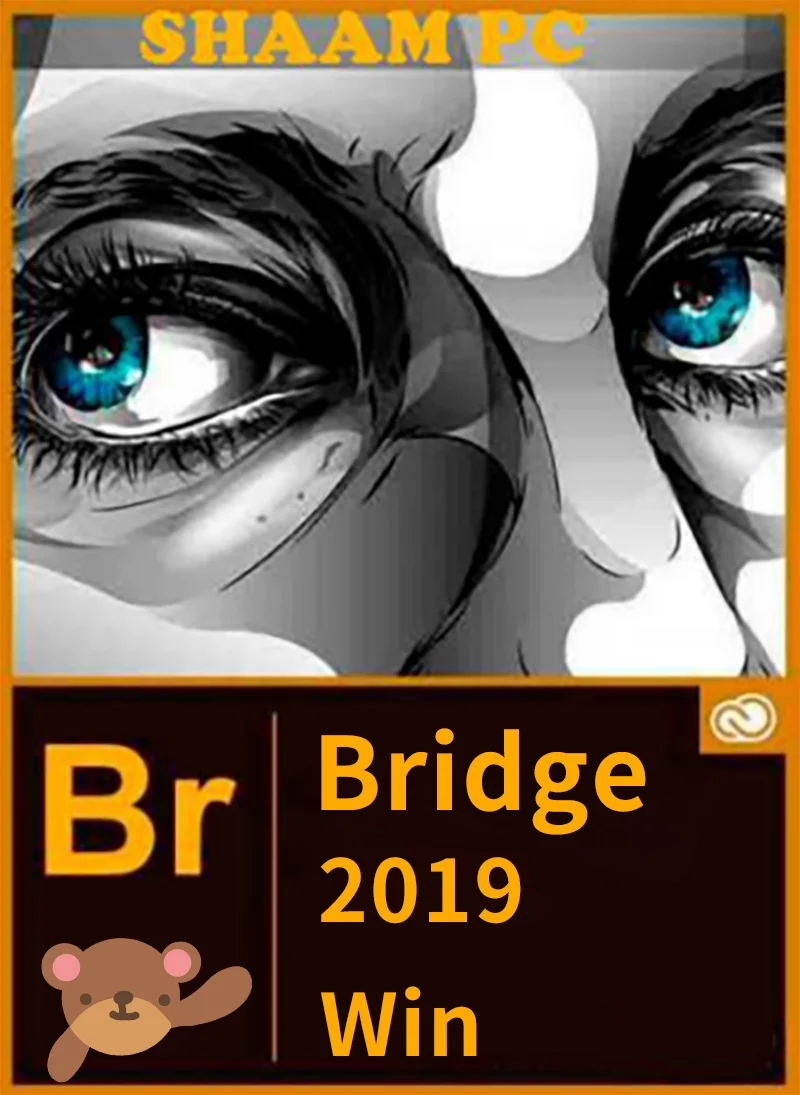 

Adobe Bridge CC 2019 Photographic Design Relese Full Version in Win