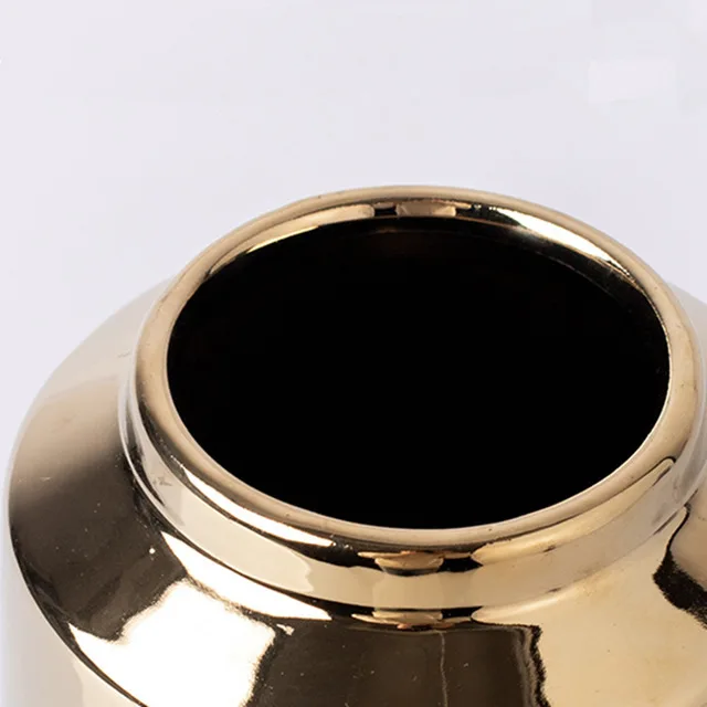 

Luxurious European-style Ceramic Vase Golden Vase Living Room Decoration Modern Decorative Vases Dried Flowers Home Decor Vase