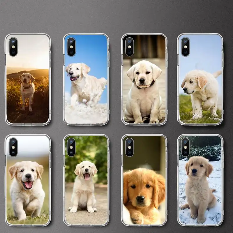 

Labrador Puppies Dog cute animal Phone Case Transparent soft For iphone 5 5s 5c se 6 6s 7 8 11 12 plus mini x xs xr pro max