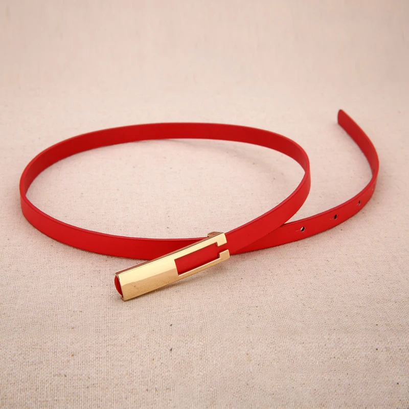 

Long Button Buckle Korean Trousers Fashion Skirt With Shiny Small Leather Belt Girdle Female Decorative Dress Belts For Women