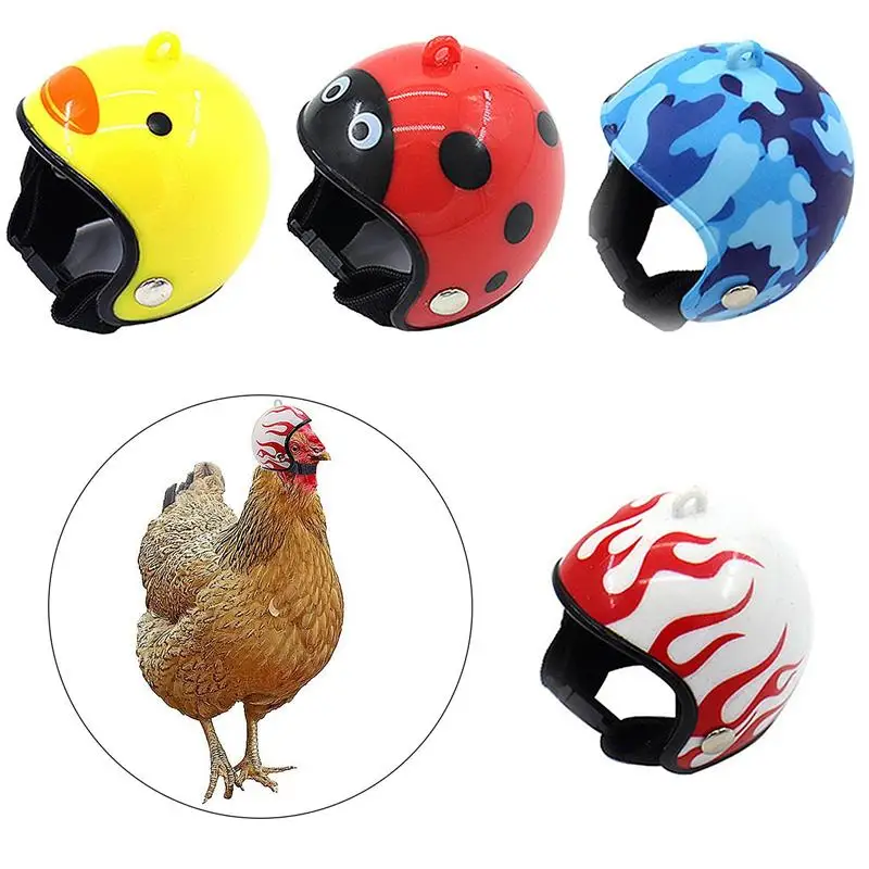 

4 Pcs Chicken Helmet Plastic Bird Head Protection Cap Chick Pecking Helmet Funny Protection Hen Hat
