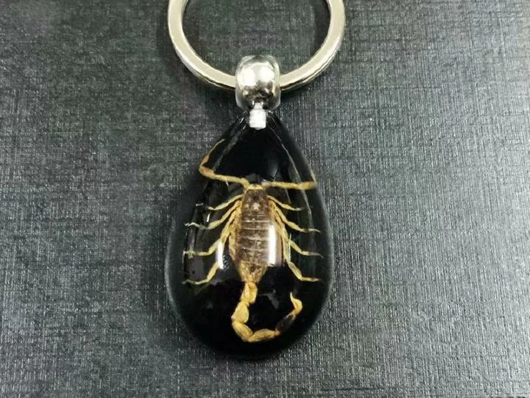

16 pcs fashion Gold Scorpion king Real insect black Drop Keychain