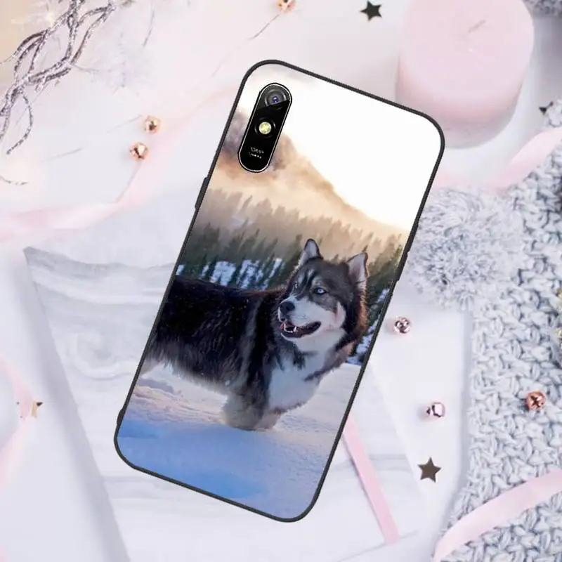 

Phone Case For Xiaomi Mi Redmi Note 7 8 9 pro 8T 9T 9S 9A 10 Lite pro Alaskan Malamute Siberian husky dog