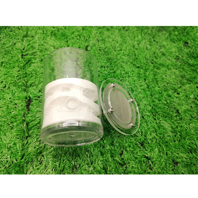 Маленькая чашка акрилового покрытия гипса насекомых гнезда муравьев фермы дом