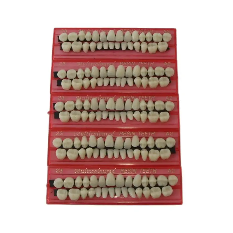 

1 Set Resin Teeth Fake Teeth Full Mouth Durable Denture Protesis Dental Materials 28Pcs/Set Teeth Teaching Model Dedicated
