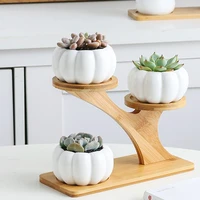 simple white succulent plant flower pot holder ceramic owl pumpkin pattern pot treetop shaped bamboo shelf pot planter set