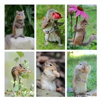 home animal 5d diy full diamond painting cross sticker embroidery squirrel art sewing childrens home decor hanging picture gift