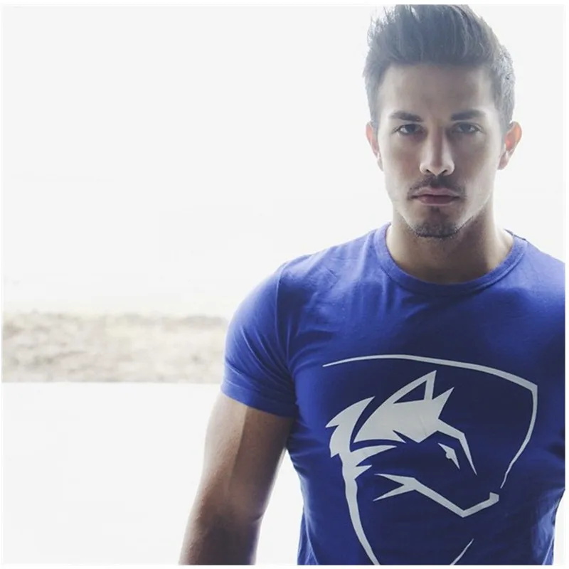 Новинка мужские футболки ALPHALETE модная одежда для фитнеса с коротким рукавом