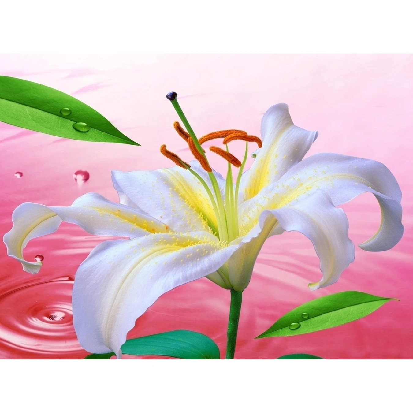 Лилия цветок 5D полный алмазная живопись сделай сам вышивка рукоделие мозаика