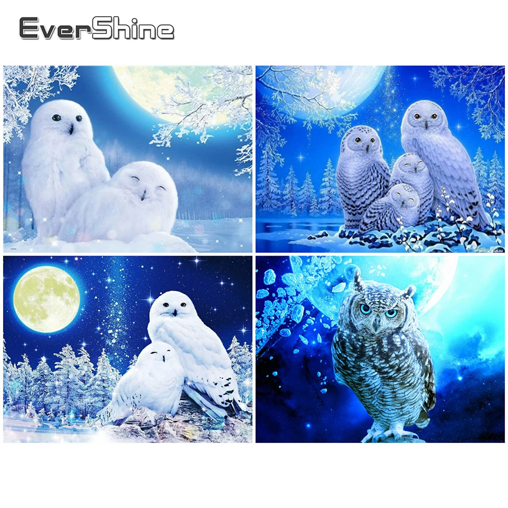 

EverShine 5D DIY Diamond Painting Set Owl Diamond Mosaic Animal Picture Of Rhinestones Embroidery New Arrival Decor For Home