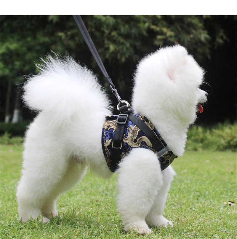 Новинка шлейка для собак чихуахуа маленьких и средних кошек нейлоновая сетка