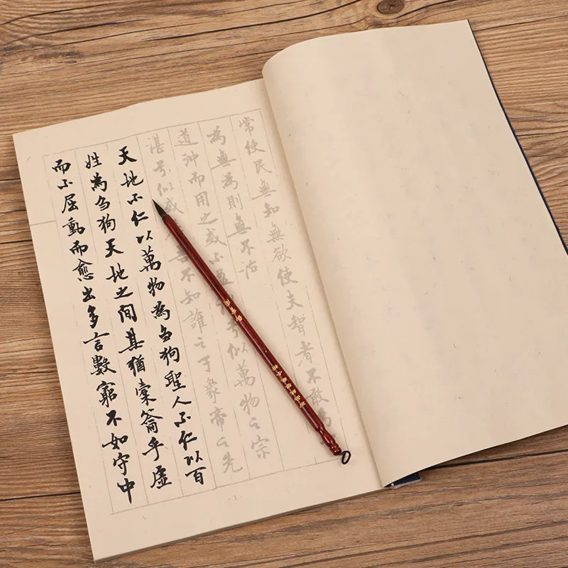 

Brush Calligraphy Books Small Regular Script Calligraphie Copybook Adult Tao Te Ching Calligraphy Practice Xuan Paper Books
