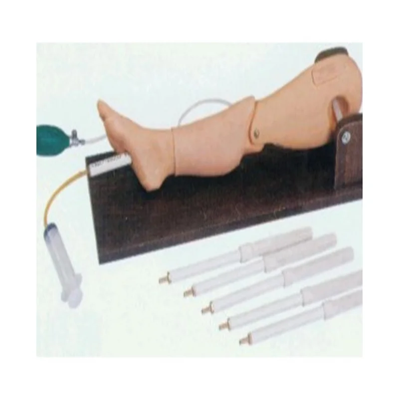 

BIX-L65A Medical School Training Bone Puncture and Femoral Vein Puncture Model