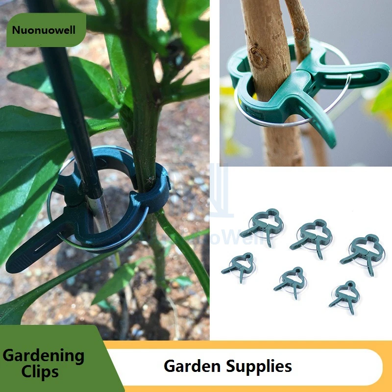 

10/20PCS Two Size Gardening Plants Orchid Clip Flower Fixed Bracket Parts Vine Climbing Plant Clamps Grape Branches Holder