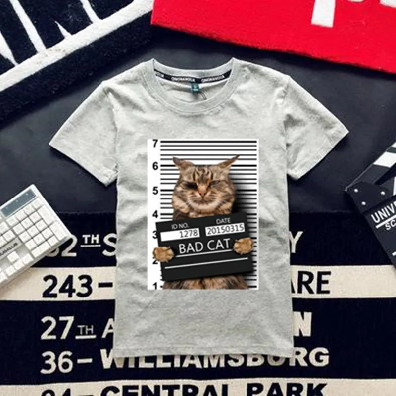 Модная Милая нашивка, сделай сам, одежда 247 мм, BAD CAT, 3d наклейки, Термотрансферная печать, железные нашивки для одежды, футболки для женщин