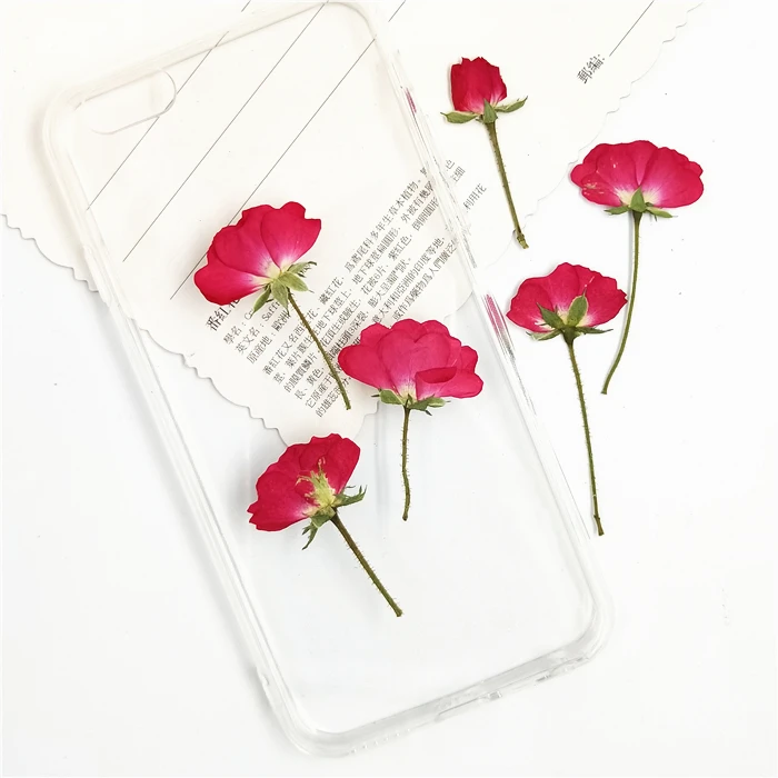 100pcs Nature Pressed Roses with stem Eternal real flowers for DIY Wedding invitations Bookmark Gift Card phone shell decor | Дом и сад