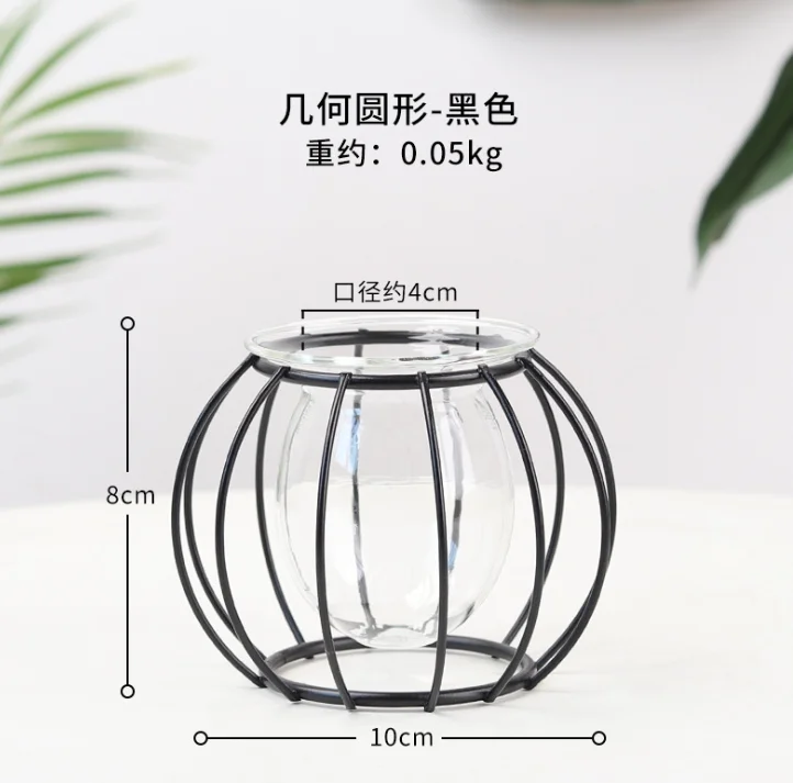 

Modern Style Iron Art Tabletop Metal Air Plant Holders Stands Containers Flower Water Culture Container With Iron Flower Rack