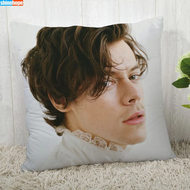 Наволочка в стиле Гарри наволочка для подушки на заказ современный домашний