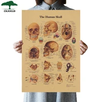 dlkklb the skeleton of the body structure nervous system poster bar home decor retro kraft paper wall sticker 41 5x30 5cm