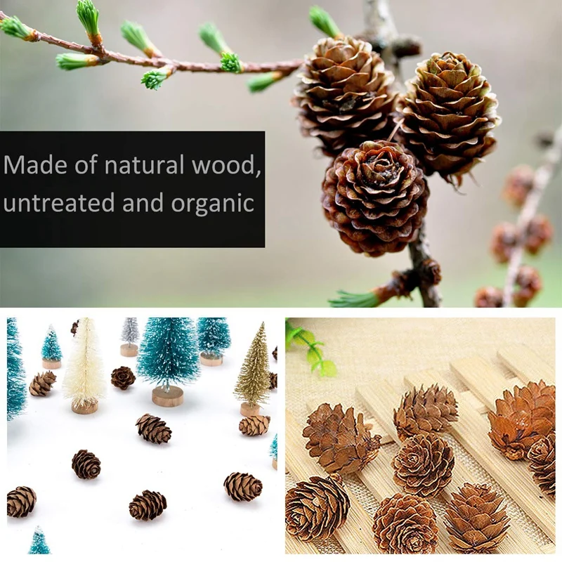 200 Pieces Thanksgiving Rustic Mini Brown Pine Cones in Bulk - Christmas Natural Ornaments for Home Decoration Fall a | Дом и сад
