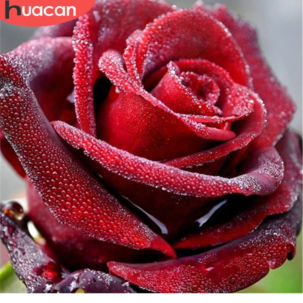Алмазная вышивка huacan Flower Picture Стразы алмазная живопись вышивка крестиком Роза полная квадратная Алмазная мозаика полный комплект