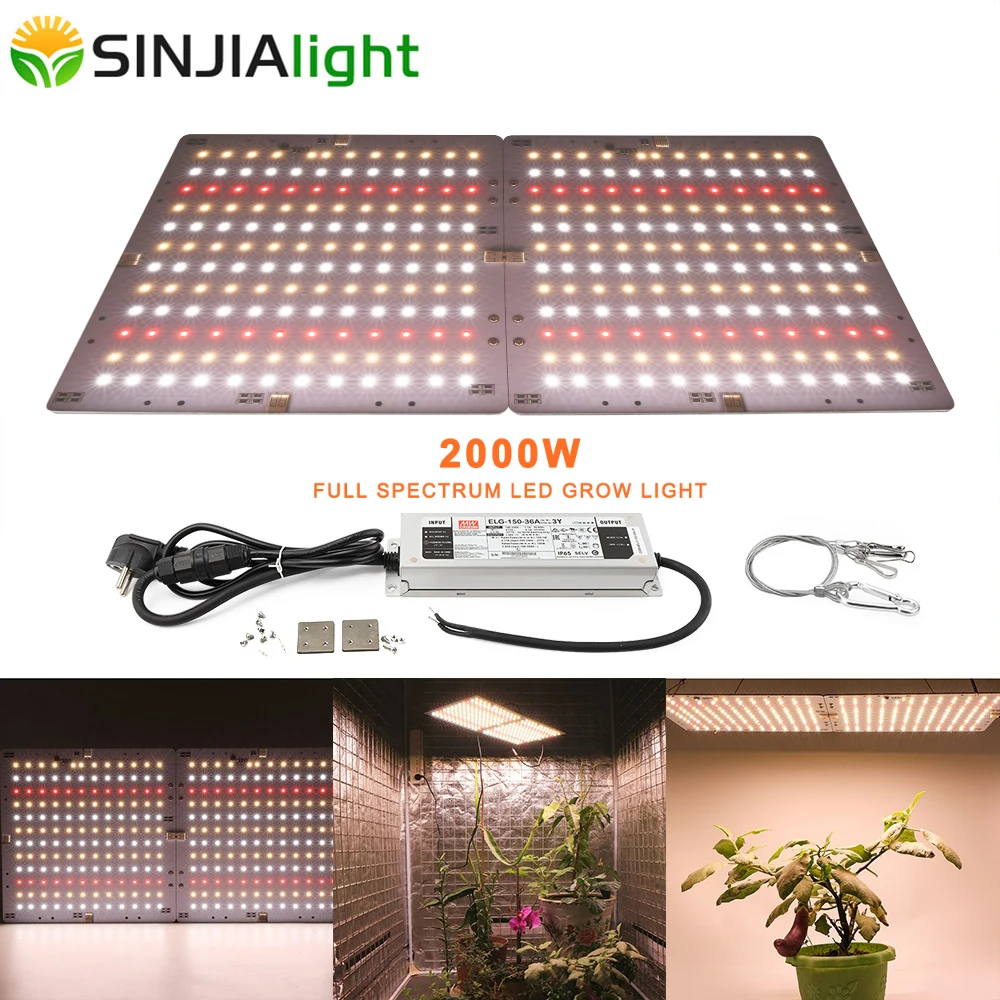2000W LED Grow Light Phytolamp Meanwell Driver LED Full Spectrum Plant Growth Lamp 3000K 3500K 660nm DIY Panel Grow Tent