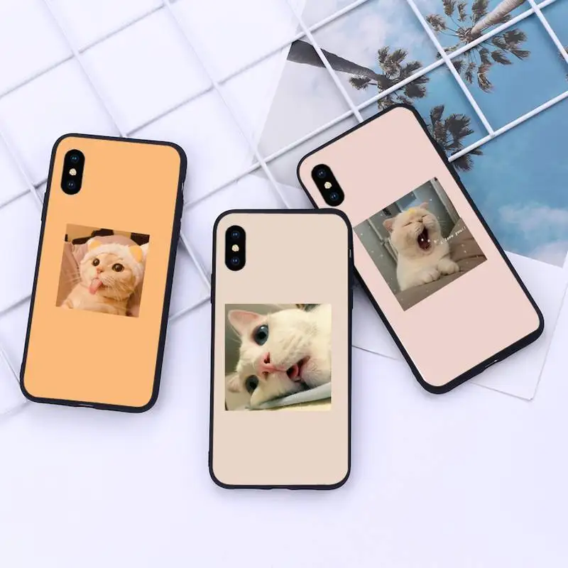

Cute cat Pink Aesthetic Phone Case For iphone 12 11 13 7 8 6 s plus x xs xr pro max mini