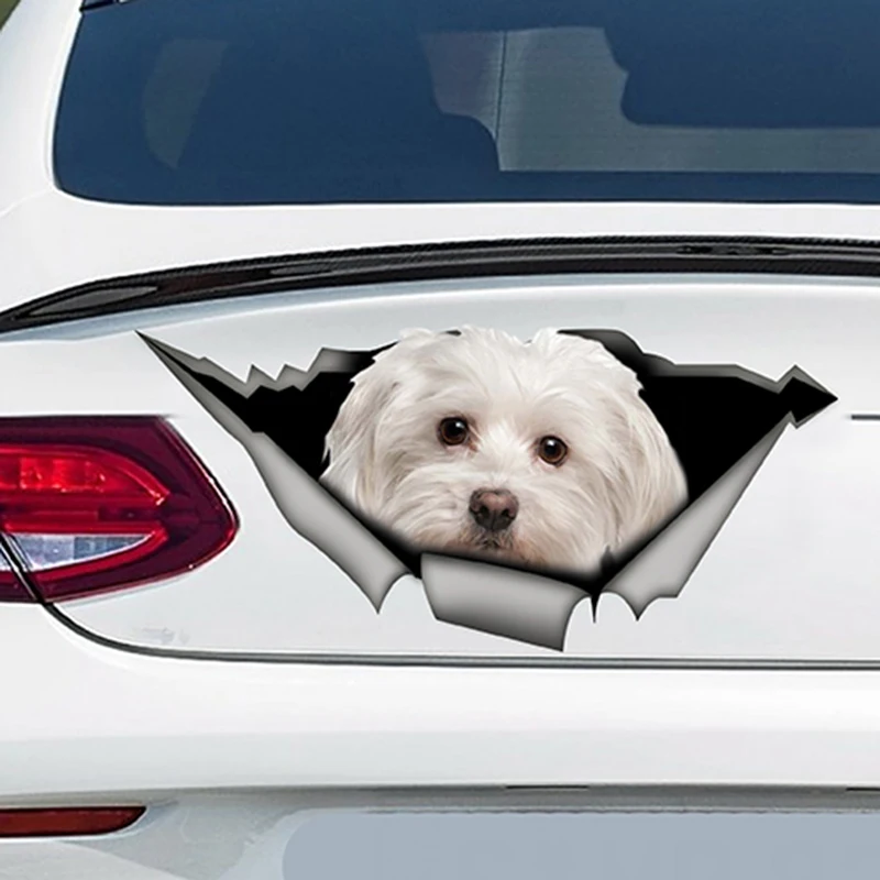 EARLFAMILY 13 см x 6 милый Мальты автомобиля Стикеры Pet декоративная собака для рваные