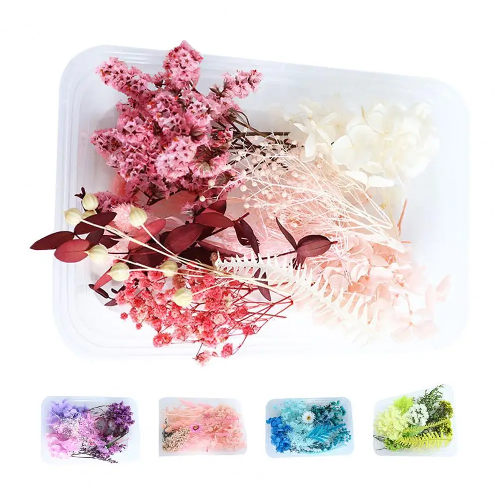 

Сохраненный цветок, красивый яркий цветной сушеный цветок, стильный визуальный эффект, дисплей для сушеных цветов, подарок, фотография, 1 ко...