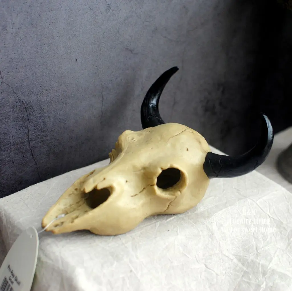 

Simulation Of Dinosaur Skull Landscape Of Rockery Water And Grass Fish Tank Aquarium Ornaments Desk Accessories пасалнй декоѬ