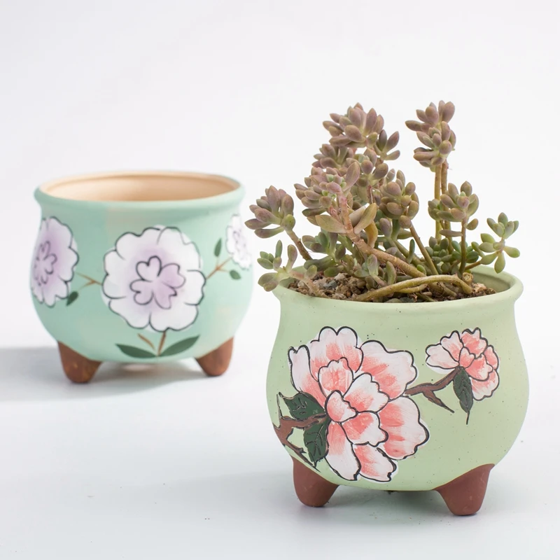 Корейский ручная роспись средний и большой калибр маленькое мясо растение