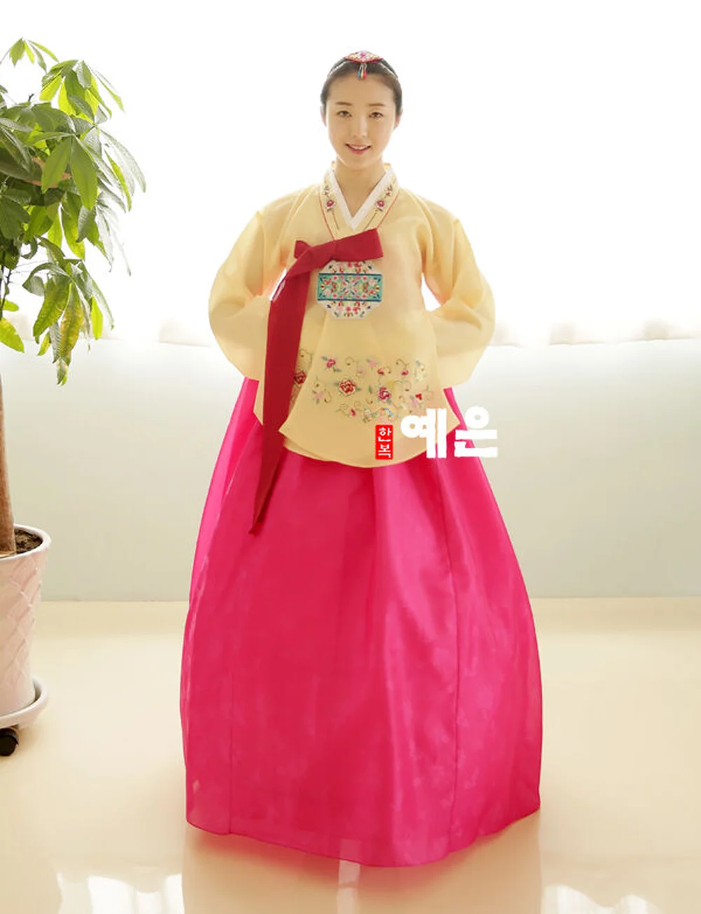 

2019 Top Sale Hanbok Dress Traditional Korean Ceremony Costume DANGUI Korean Royal Costume Hallowen Cosplay Gifts