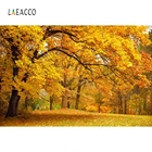 Осенний Фотофон Laeacco, лесные кленовые деревья, листья, фоны для фотосъемки, детский портрет, фотозона, фотостудия
