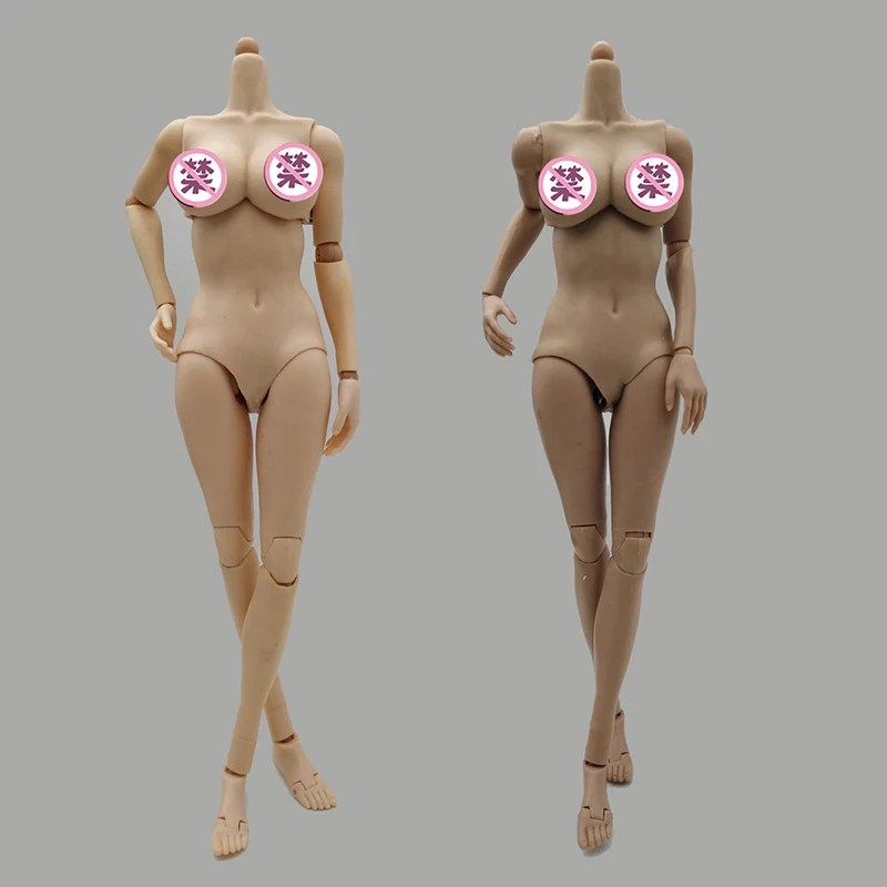 

1/6 Scale Female Super-Flexible Movable Joint Body Fit 12" Female Head Sculpture In Stock