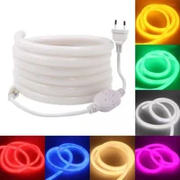 1m2m3m4m ac220v led strip flexible light ip67 waterproof neon led el wire rope tube led tape led light with power plug