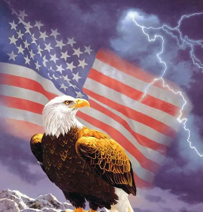 Алмазов картина Орел DIY Алмазная вышивка животные Наборы ручной работы подарок