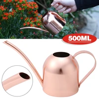 1pc watering can 500ml indoor small watering can pot stainless steel gardening spout plants tools