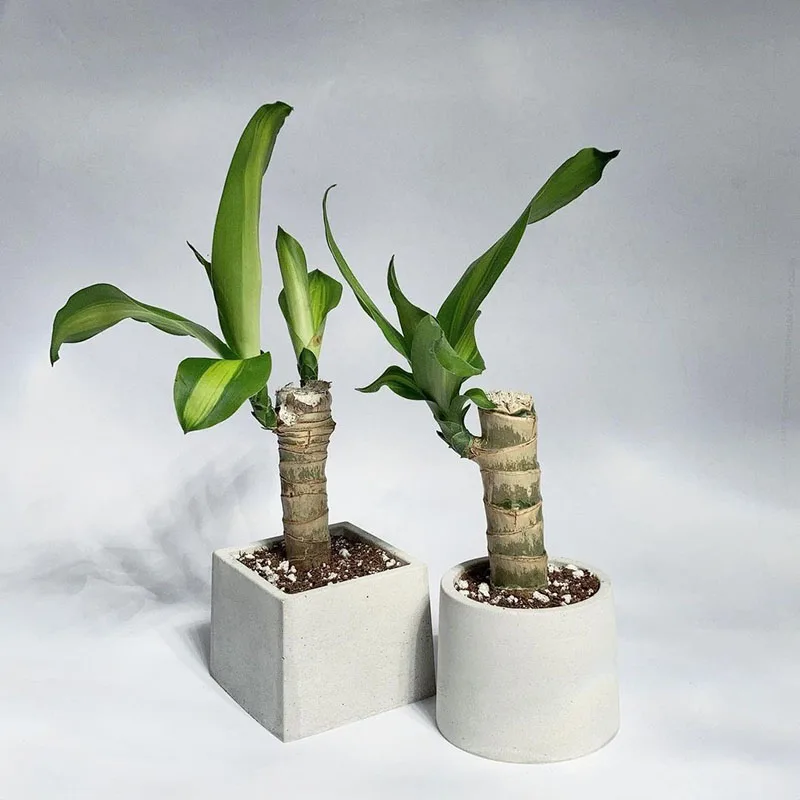 

Silicone Pot Molds Concrete Round Planter Molds Cement Candle Vessel Molds Home Decoration Flower Pot Molds