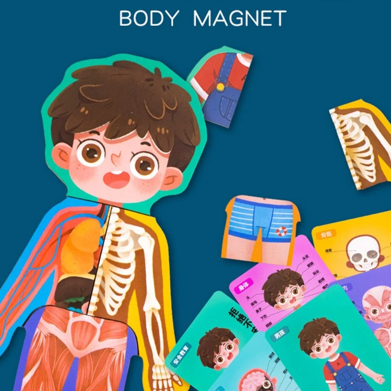 

N7ME Brain Game Learning Toy Multilayer Assembly Human Body Anatomy Puzzle Jigsaw