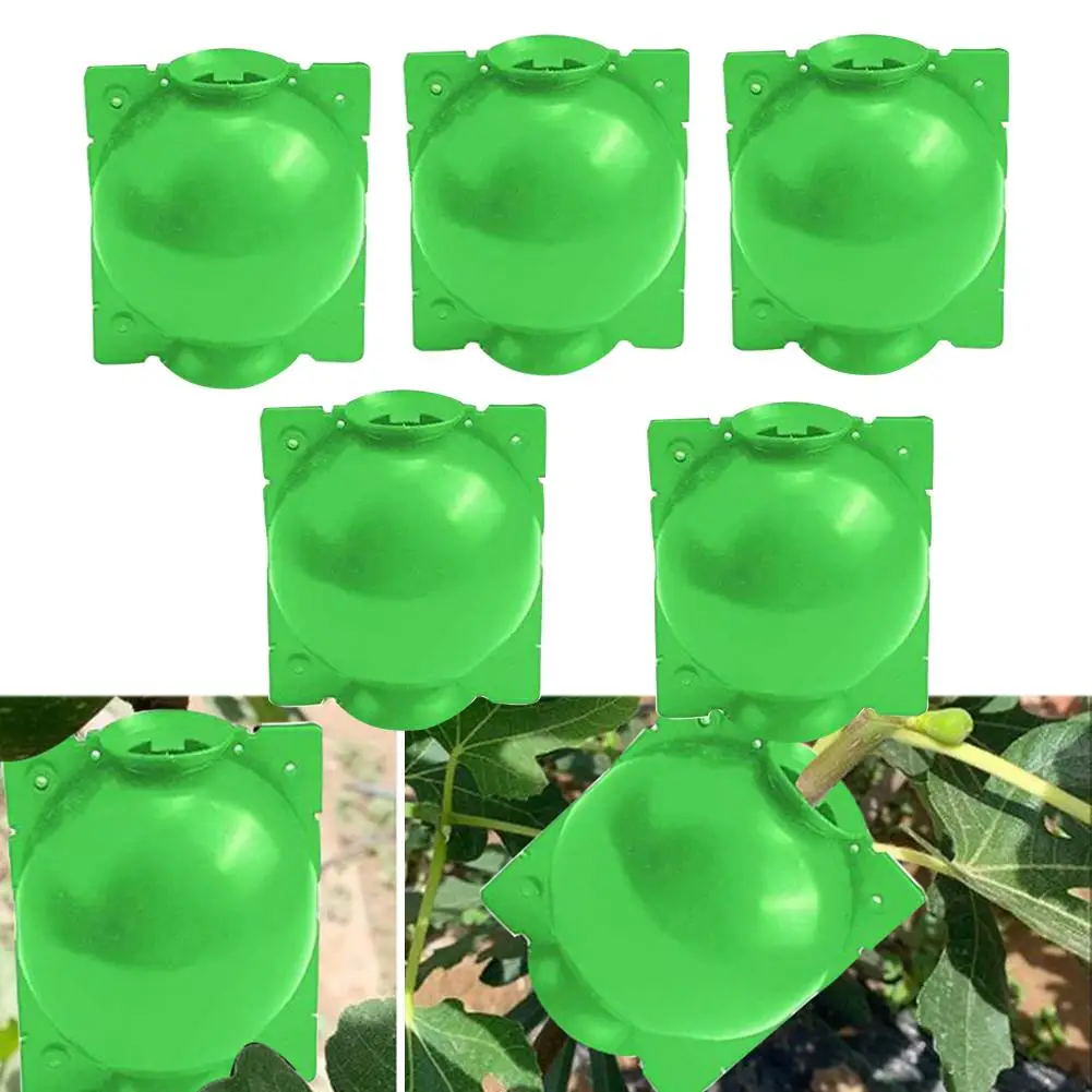 

5Pcs Plant Rooting Ball Grafting Reusable Convenient Plant Rooting Growing Box Device Breeding Case for Garden Roses Fruit Trees