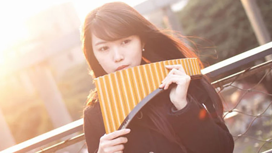 UU Pan флейта 22 трубы Panpipes G ключ настраиваемый Flauta ABS пластик румынская база Panflute Профессиональный Pan Pipe музыкальный инструмент