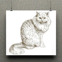 azsg realistic cat silicone clear stamps for scrapbooking diy clip art card making decoration stamps crafts