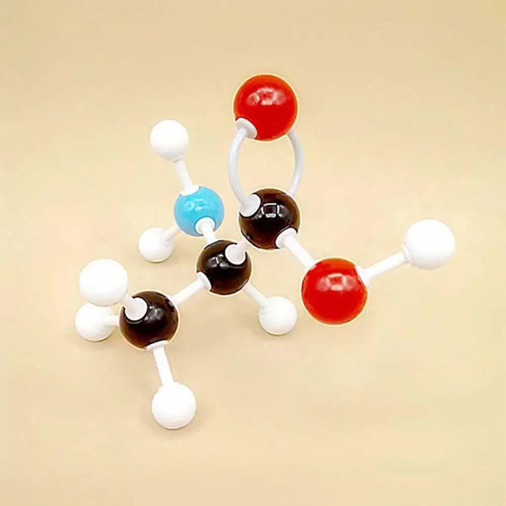 Органическая химия научный Atom модели молекулярной конструкции Обучающий набор |